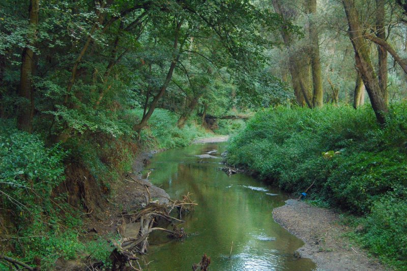 Soubor:Myjava river 3.jpg