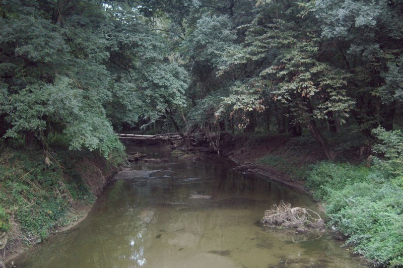 Soubor:Myjava river 2.jpg