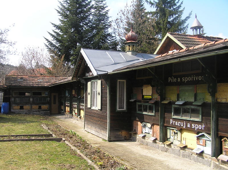 Soubor:Vcelin (2).JPG