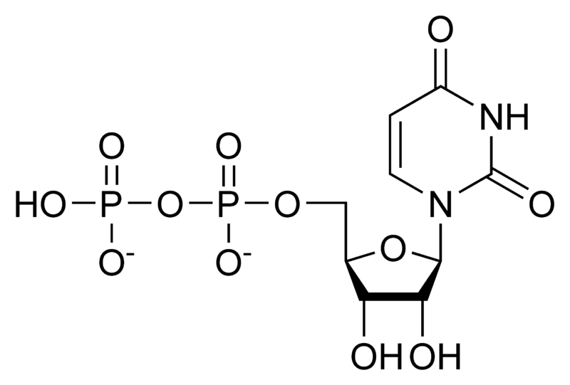 Soubor:UDP chemical structure.png